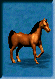 cheval